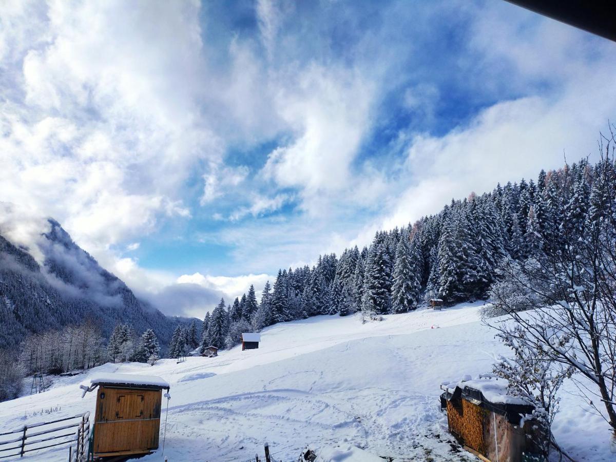 Cesa Cherpei - Dog Friendly Campitello di Fassa Exterior photo