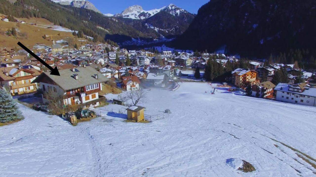 Cesa Cherpei - Dog Friendly Campitello di Fassa Exterior photo