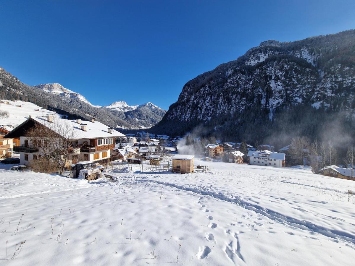 Cesa Cherpei - Dog Friendly Campitello di Fassa Exterior photo