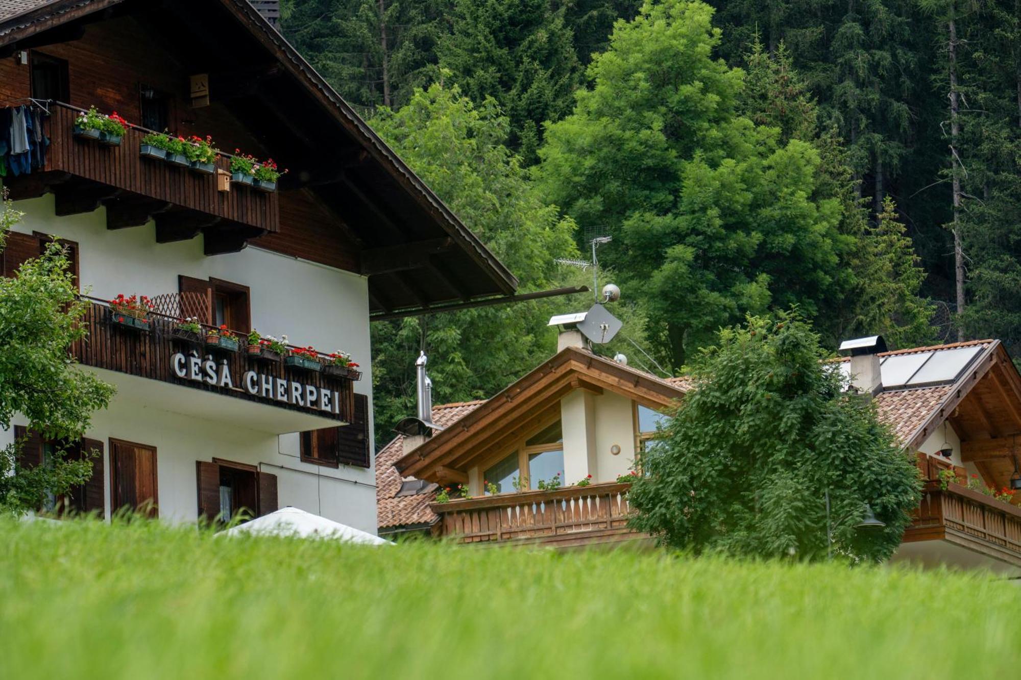 Cesa Cherpei - Dog Friendly Campitello di Fassa Exterior photo
